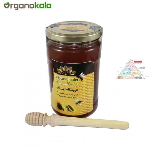 عسل چهل گیاه ارگانوکالا - 950 گرم