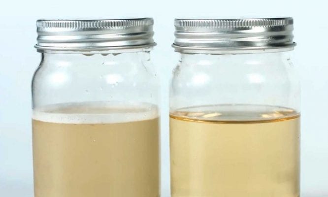  تشخیص عسل طبیعی با آب